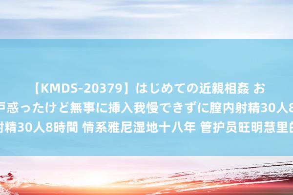 【KMDS-20379】はじめての近親相姦 おばさんの誘いに最初は戸惑ったけど無事に挿入我慢できずに膣内射精30人8時間 情系雅尼湿地十八年 管护员旺明慧里的生态之好意思