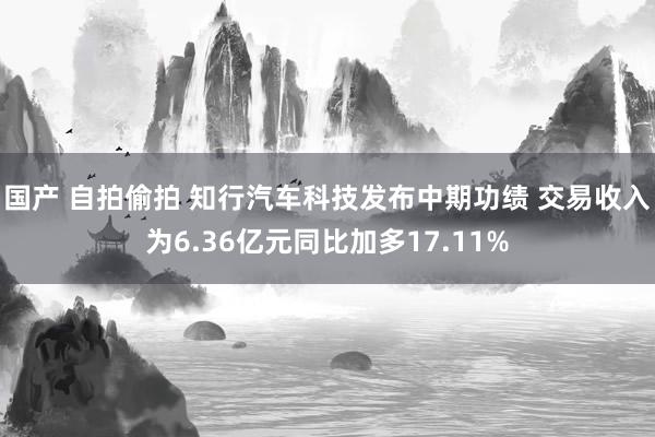 国产 自拍偷拍 知行汽车科技发布中期功绩 交易收入为6.36亿元同比加多17.11%