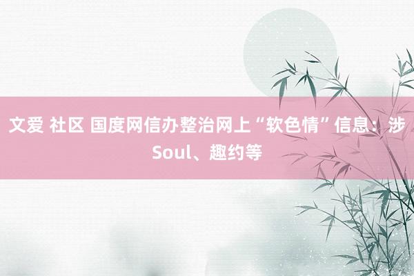 文爱 社区 国度网信办整治网上“软色情”信息：涉Soul、趣约等