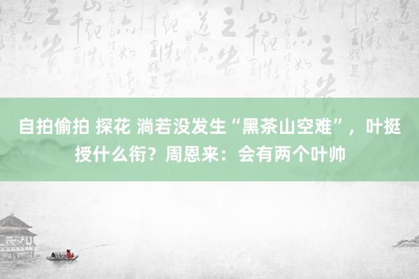 自拍偷拍 探花 淌若没发生“黑茶山空难”，叶挺授什么衔？周恩来：会有两个叶帅