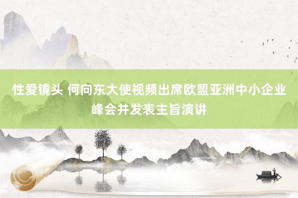 性爱镜头 何向东大使视频出席欧盟亚洲中小企业峰会并发表主旨演讲